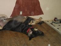 <img200*0:http://elftown.heddate.com/img/photo/109351_1149454978.jpg>