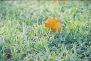 <img300*0:http://elftown.heddate.com/img/photo/109628_1110262327.jpg>