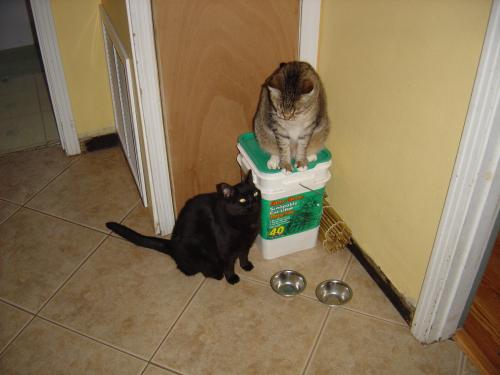 <img: http://elftown.heddate.com/img/photo/112497_1185144364.jpg >