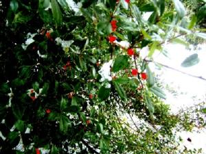 <img300*0:http://elftown.heddate.com/img/photo/117485_1109644628.jpg>