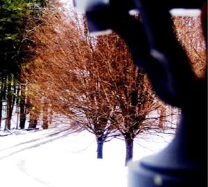 <img300*0:http://elftown.heddate.com/img/photo/117485_1109644779.jpg>