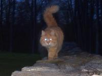 <img200*0:http://elftown.heddate.com/img/photo/118909_1122234169.jpg>