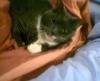 <img100*0:http://elftown.heddate.com/img/photo/119747_1121645143.jpg>