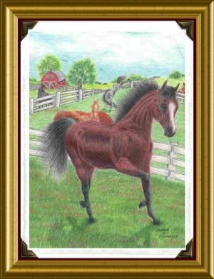 <img300*0:http://elftown.heddate.com/img/photo/119747_1121646435.jpg>