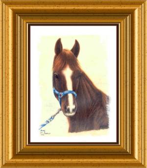 <img300*0:http://elftown.heddate.com/img/photo/119747_1121646585.jpg>