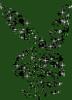 <img:http://elftown.heddate.com/img/photo/120997_1159754658.gif?y=100>