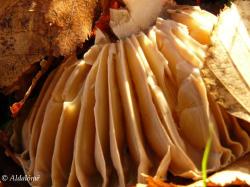 <img250*0:img/photo/121196_1198171143.jpg>