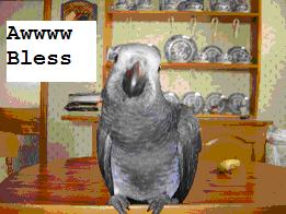 <img:http://elftown.heddate.com/img/photo/123090_1147460939.jpg>