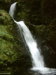 <img0*250:http://elftown.heddate.com/img/photo/1275_1126828683.jpg>