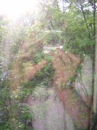 <img200*0:http://elftown.heddate.com/img/photo/132354_1151529195.jpg>