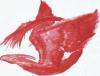 <img100*0:http://elftown.heddate.com/img/photo/13756_1072128768.jpg>