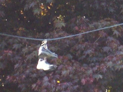 <img:http://elftown.heddate.com/img/photo/141058_1147123899.jpg>