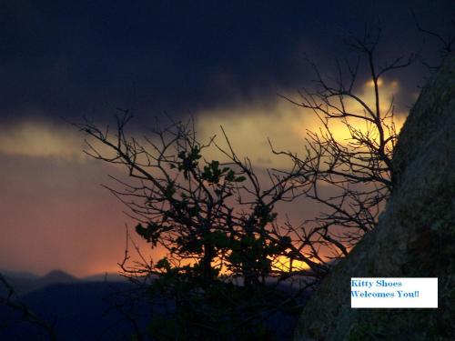 <img:http://elftown.heddate.com/img/photo/141058_1152254406.jpg>