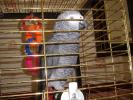 <img://elftown.heddate.com/img/photo/141164_1118414929.jpg?y=100>