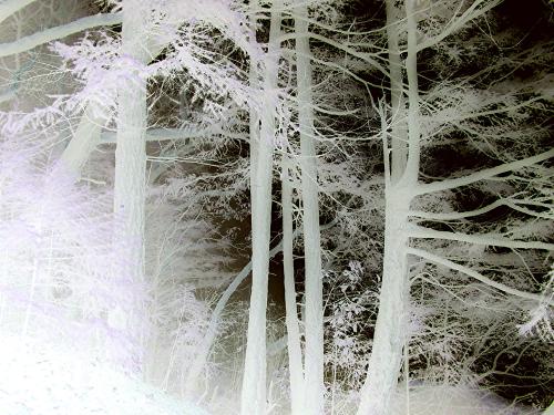 <img:http://elftown.heddate.com/img/photo/144109_1183000898.jpg>