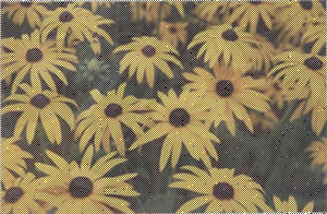 <img:http://elftown.heddate.com/img/photo/145260_1138188166.gif>