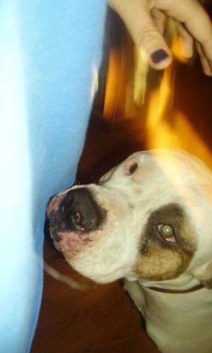 <img300*0:img/photo/148667%255f1228491564%252ejpg>