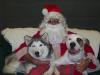 <img100*0:http://elftown.heddate.com/img/photo/148667_1165784142.jpg>