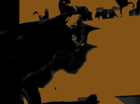 <img:http://elftown.heddate.com/img/photo/150384_1172754845.jpg>