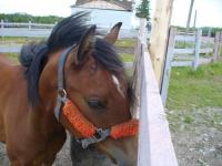 <img200*0:http://elftown.heddate.com/img/photo/151116_1189287053.jpg>