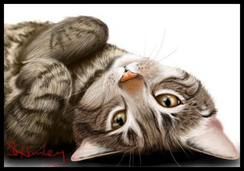 <img:http://elftown.heddate.com/img/photo/1515_1169330514.jpg>