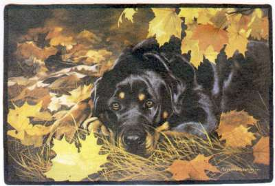 <img:http://elftown.heddate.com/img/photo/152832_1151029807.jpg>
