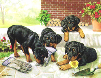 <img:http://elftown.heddate.com/img/photo/152832_1151029928.jpg>