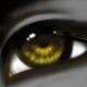 <img0*80:http://elftown.heddate.com/img/photo/15586_1090490225.jpg>