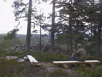 <img:http://elftown.heddate.com/img/photo/156259_1140963610.jpg>
