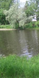 <img0*300:http://elftown.heddate.com/img/photo/163878_1130018555.jpg>