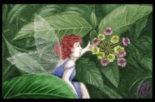<img0*200:http://elftown.heddate.com/img/photo/166146_1176408863.jpg>