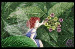 <img300*0:http://elftown.heddate.com/img/photo/166146_1176408863.jpg>