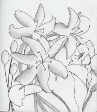 <img200*0:http://elftown.heddate.com/img/photo/166213_1152410282.jpg>