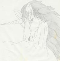 <img200*0:http://elftown.heddate.com/img/photo/166213_1153264122.jpg>
