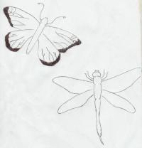 <img200*0:http://elftown.heddate.com/img/photo/166213_1154039988.jpg>