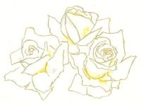<img200*0:http://elftown.heddate.com/img/photo/166213_1160027508.jpg>