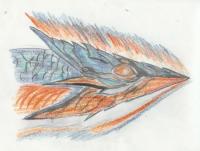 <img200*0:http://elftown.heddate.com/img/photo/166213_1160086669.jpg>