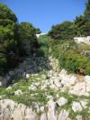 <img100*0:http://elftown.heddate.com/img/photo/167230_1152714129.jpg>