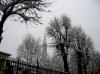 <img100*0:http://elftown.heddate.com/img/photo/167230_1152714524.jpg>