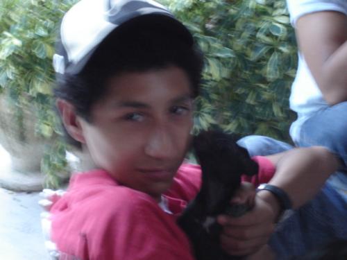 photo