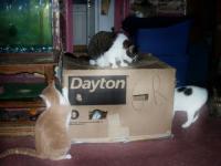 <img200*0:http://elftown.heddate.com/img/photo/173630_1144096380.jpg>