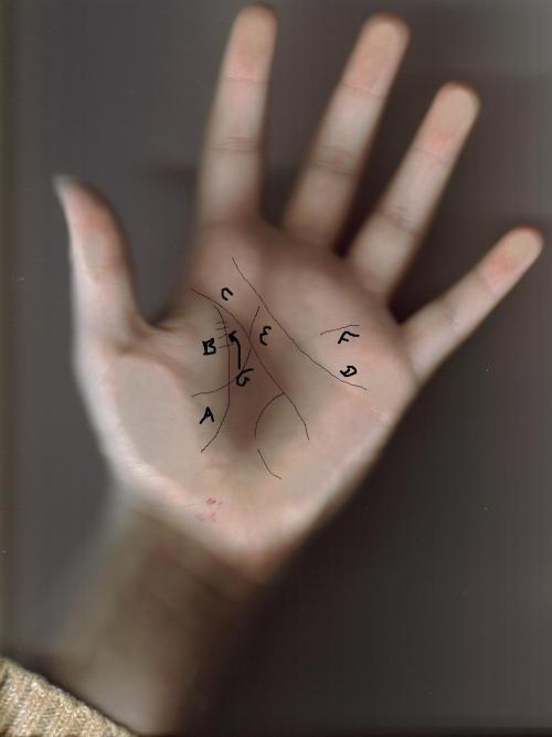 <img:http://elftown.heddate.com/img/photo/174676_1145537698.jpg>