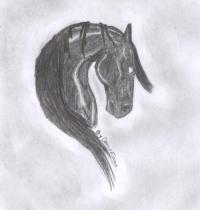 <img200*0:http://elftown.heddate.com/img/photo/174707_1174181991.jpg>
