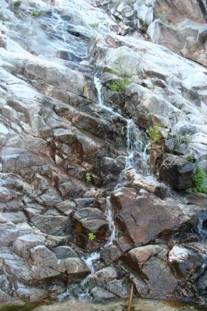<img300*0:http://elftown.heddate.com/img/photo/174707_1209336270.jpg>