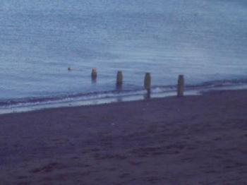 <img350*0:http://elftown.heddate.com/img/photo/174717_1156945038.jpg>