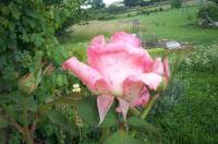 <img200*0:http://elftown.heddate.com/img/photo/175135_1180641909.jpg>