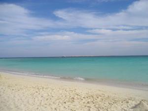<img300*0:http://elftown.heddate.com/img/photo/177121_1156423911.jpg>