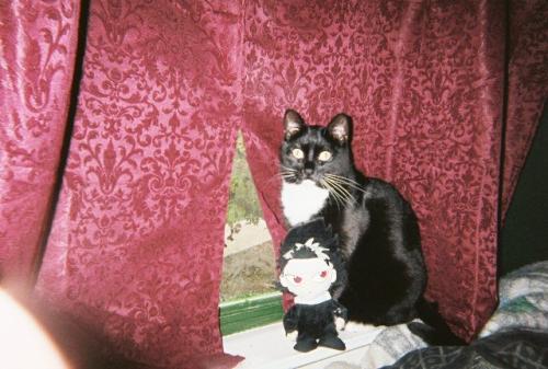 photo