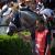 <img50*50:http://elftown.heddate.com/img/photo/179663_1156349540.jpg>