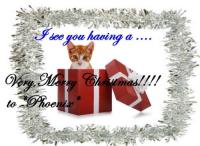 <img200*0:http://elftown.heddate.com/img/photo/179861_1261615317.jpg>